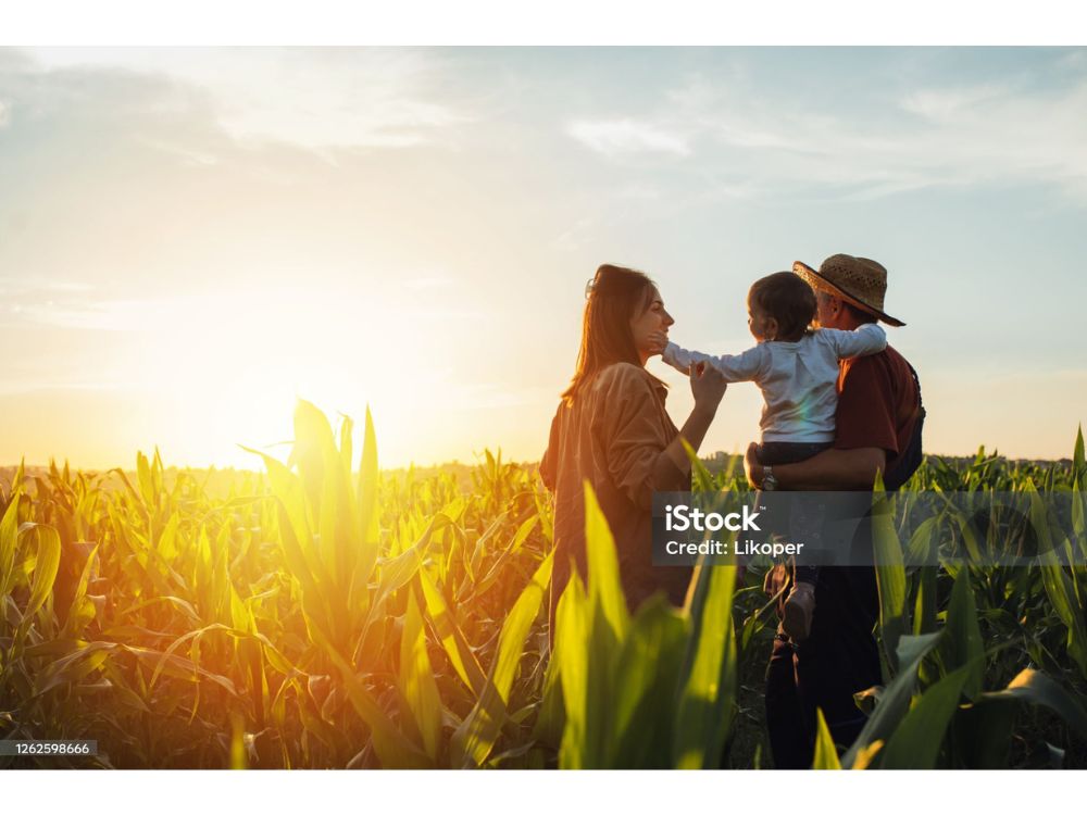 UMA FAMÍLIA CONTEMPLANDO UMA LAVOURA DE MILHO, CONSIDERADA UMA DAS CULTURAS DE GRÃOS MAIS IMPORTANTES DA AGRICULTURA BRASILEIRA.